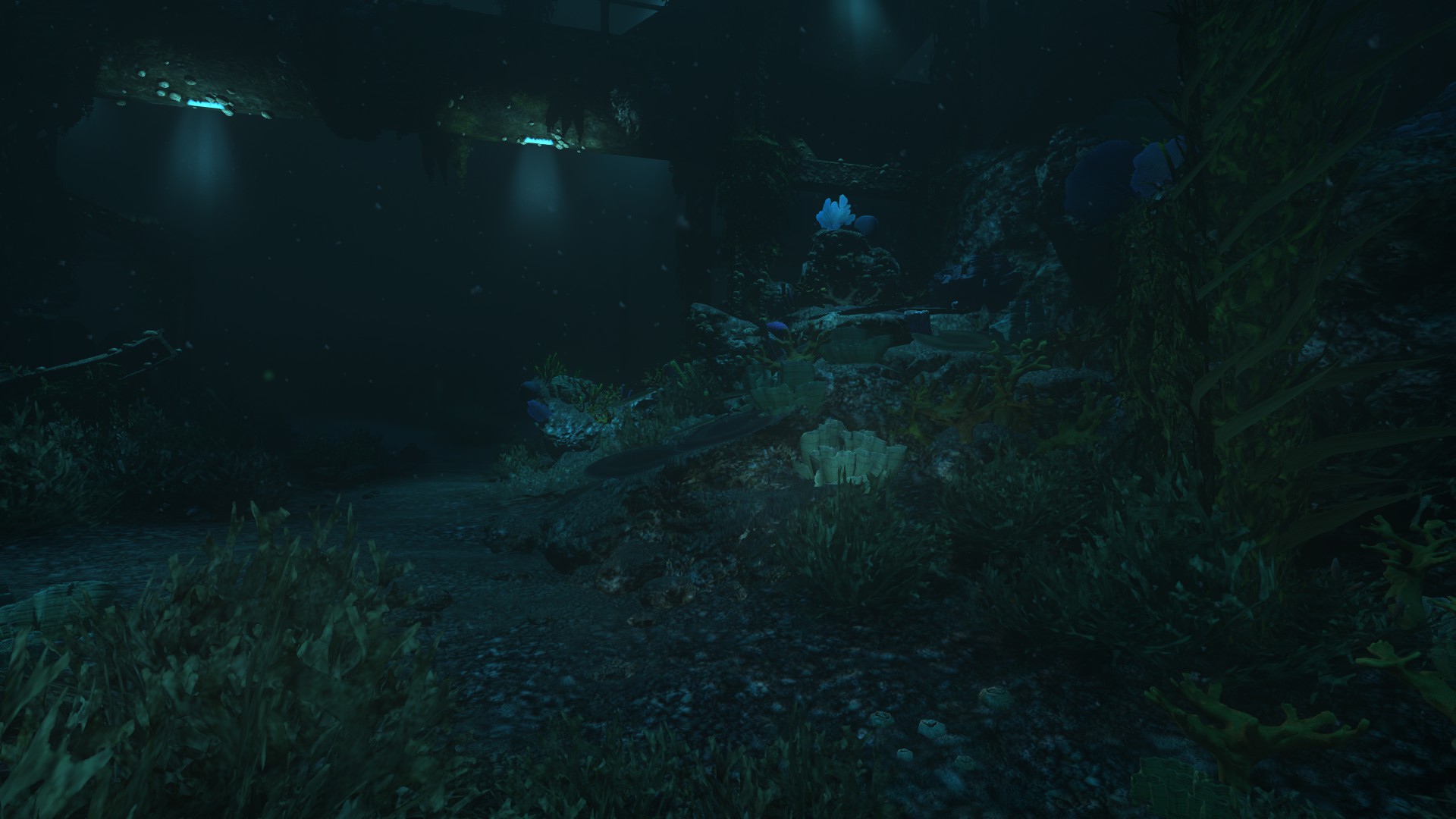 Exploring outside the underwater facility.